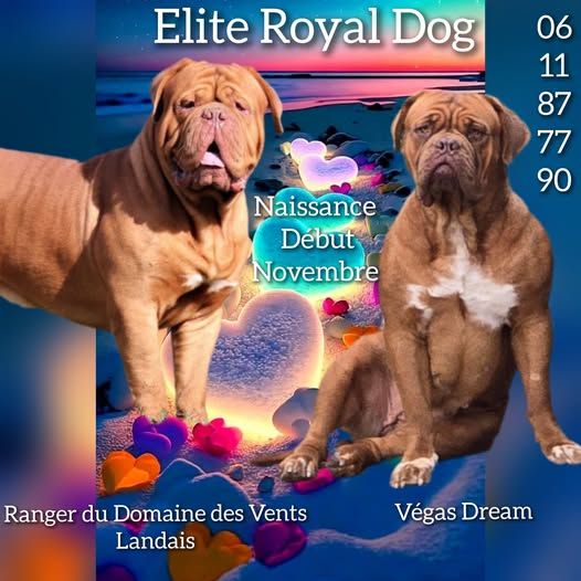 Des bébés pour novembre !!!!!!