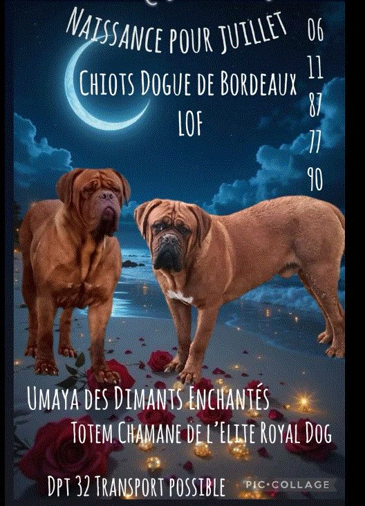 Des bébés pour juillet !!!!!!